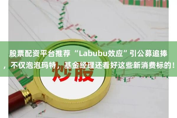 股票配资平台推荐 “Labubu效应”引公募追捧，不仅泡泡玛特，基金经理还看好这些新消费标的！
