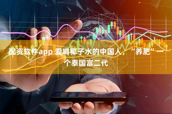 配资软件app 爱喝椰子水的中国人，“养肥”一个泰国富二代