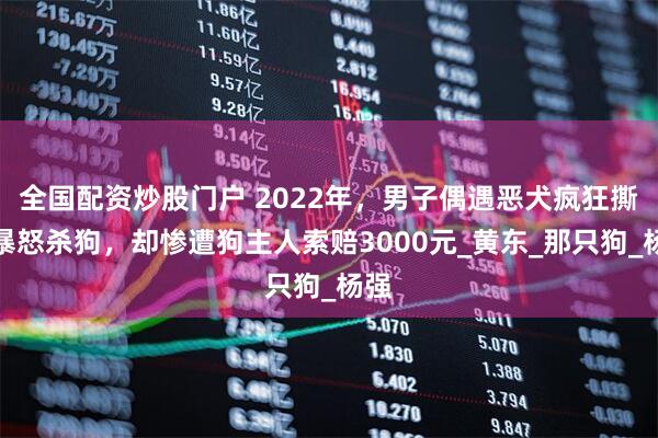 全国配资炒股门户 2022年，男子偶遇恶犬疯狂撕咬暴怒杀狗，却惨遭狗主人索赔3000元_黄东_那只狗_杨强